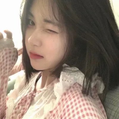 莫西干回到故乡